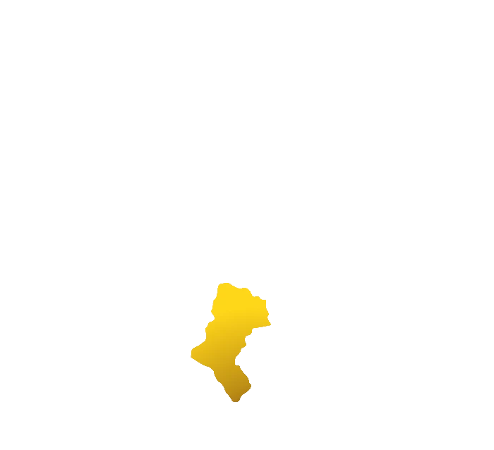 Śląskie